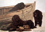 Превью фото № 167644