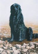 Превью фото № 167652