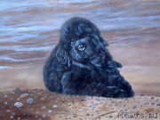 Превью фото № 167656