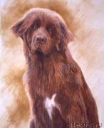 Превью фото № 167659