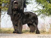 Превью фото № 167677