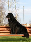 Превью фото № 167688