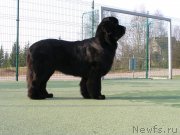 Превью фото № 167689