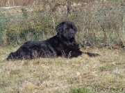 Превью фото № 167704