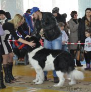 Превью фото № 167743