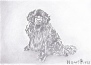 Превью фото № 167754