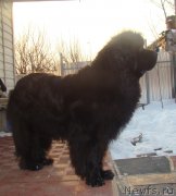 Превью фото № 167764