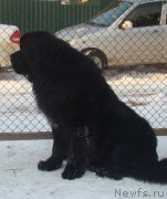 Превью фото № 167766