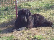 Превью фото № 167773