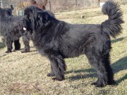 Превью фото № 167774