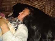 Превью фото № 167806