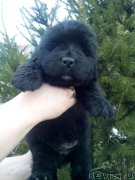 Превью фото № 167807