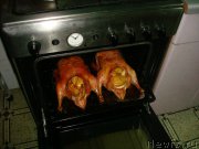 Превью фото № 167820