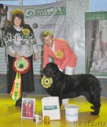 Превью фото № 167837