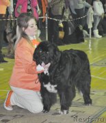 Превью фото № 167838