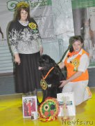 Превью фото № 167840