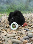 Превью фото № 167877