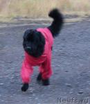 Превью фото № 16791