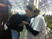 Превью фото № 167915