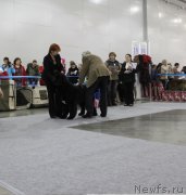 Превью фото № 168033