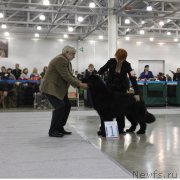 Превью фото № 168036