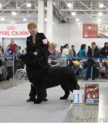 Превью фото № 168038