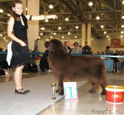 Превью фото № 168076