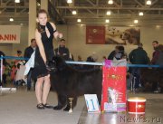 Превью фото № 168077