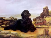 Превью фото № 168119