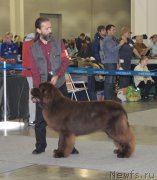 Превью фото № 168121