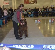 Превью фото № 168125