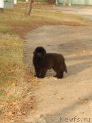 Превью фото № 168127