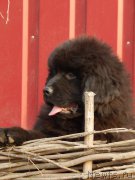 Превью фото № 168143