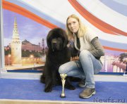 Превью фото № 168175