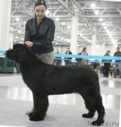 Превью фото № 168191