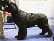 Превью фото № 168197