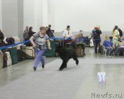 Превью фото № 168200