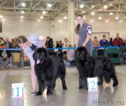 Превью фото № 168205