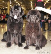 Превью фото № 168208