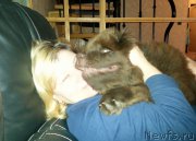 Превью фото № 168221