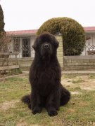 Превью фото № 168279