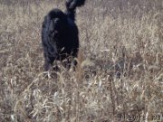 Превью фото № 168336