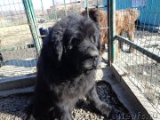 Превью фото № 168360