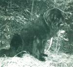 Превью фото № 1684