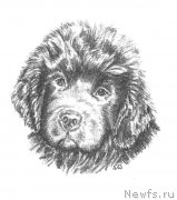 Превью фото № 168429