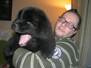 Превью фото № 168587