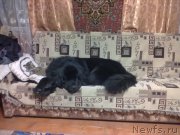 Превью фото № 168604