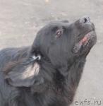 Превью фото № 16863