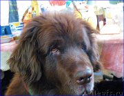 Превью фото № 168728