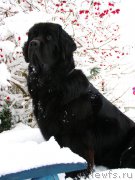 Превью фото № 168754